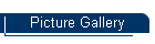 Picture Gallery