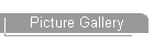 Picture Gallery